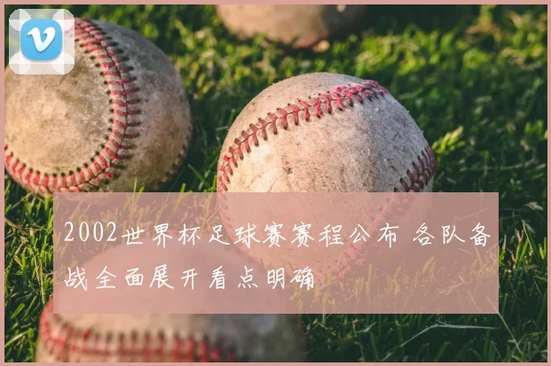 2002世界杯足球赛赛程公布 各队备战全面展开看点明确