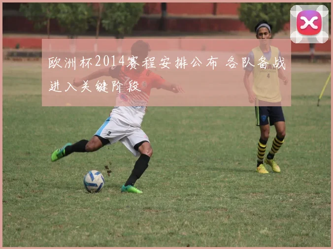 欧洲杯2014赛程安排公布 各队备战进入关键阶段