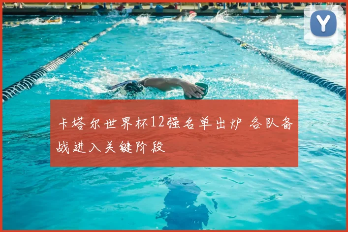 卡塔尔世界杯12强名单出炉 各队备战进入关键阶段